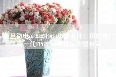 复旦微电(688385)2024年报点评：积极推广新一代FPGA 持续优化战略布局