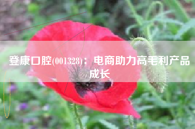 登康口腔(001328)：电商助力高毛利产品成长