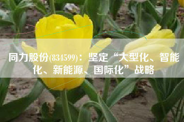 同力股份(834599)：坚定“大型化、智能化、新能源、国际化”战略