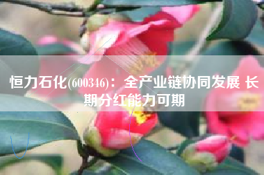 恒力石化(600346)：全产业链协同发展 长期分红能力可期