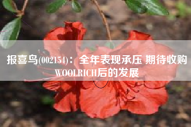 报喜鸟(002154)：全年表现承压 期待收购WOOLRICH后的发展