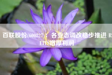 百联股份(600827)：各业态调改稳步推进 REITS增厚利润