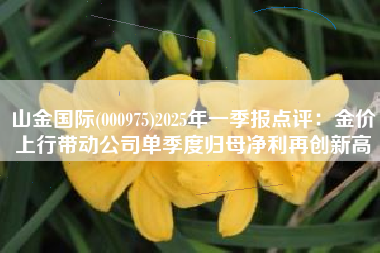 山金国际(000975)2025年一季报点评：金价上行带动公司单季度归母净利再创新高