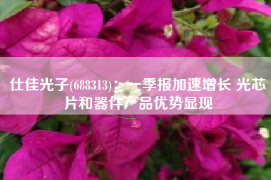 仕佳光子(688313)：一季报加速增长 光芯片和器件产品优势显现