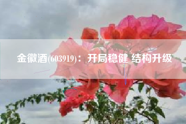 金徽酒(603919)：开局稳健 结构升级