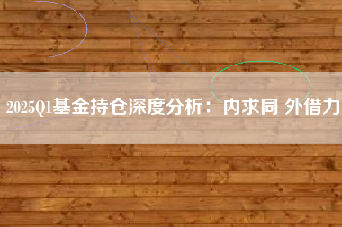 2025Q1基金持仓深度分析：内求同 外借力