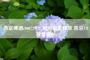 燕京啤酒(000729)：利润明显释放 燕京U8放量增长