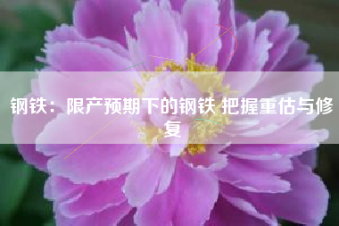 钢铁：限产预期下的钢铁 把握重估与修复