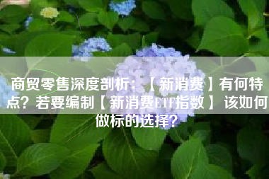 商贸零售深度剖析：【新消费】有何特点？若要编制【新消费ETF指数】 该如何做标的选择？