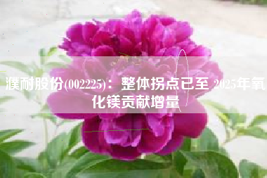 濮耐股份(002225)：整体拐点已至 2025年氧化镁贡献增量