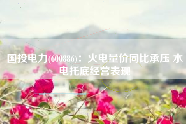 国投电力(600886)：火电量价同比承压 水电托底经营表现