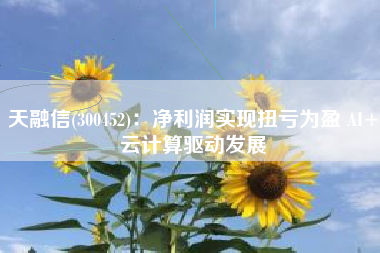 天融信(300452)：净利润实现扭亏为盈 AI+云计算驱动发展