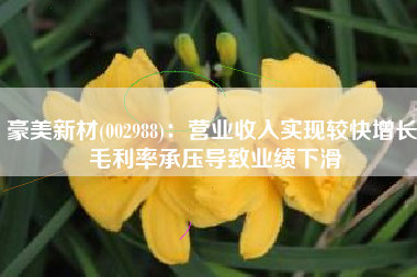 豪美新材(002988)：营业收入实现较快增长 毛利率承压导致业绩下滑