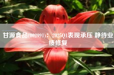 甘源食品(002991)：2025Q1表现承压 静待业绩修复