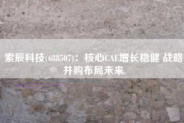 索辰科技(688507)：核心CAE增长稳健 战略并购布局未来