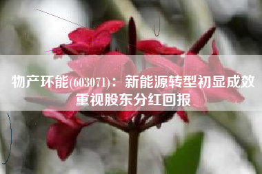 物产环能(603071)：新能源转型初显成效重视股东分红回报