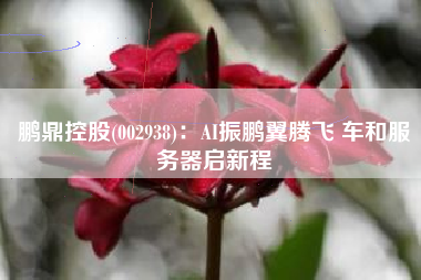 鹏鼎控股(002938)：AI振鹏翼腾飞 车和服务器启新程