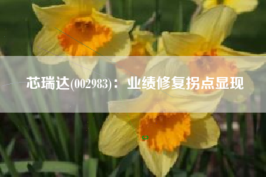 芯瑞达(002983)：业绩修复拐点显现