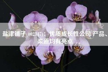 盐津铺子(002847)：优质成长性公司 产品、渠道均有亮点