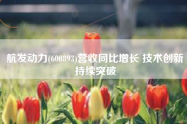 航发动力(600893)营收同比增长 技术创新持续突破