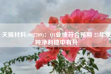 天赐材料(002709)：Q1业绩符合预期 25年单吨净利稳中有升