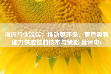物流行业脱碳：推动更环保、更具盈利能力供应链的技术与策略(英译中)