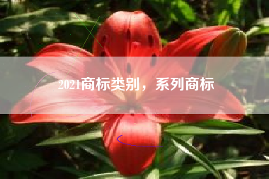 2021商标类别,系列商标 2021商标类别,系列商标