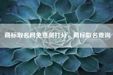 商标取名网免费测打分,商标取名查询 商标取名网免费测打分,商标取名查询