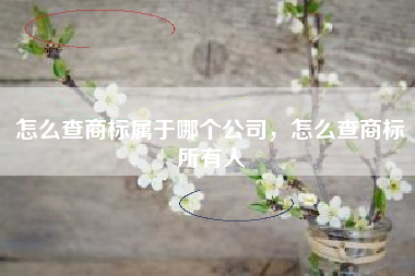 怎么查商标属于哪个公司,怎么查商标所有人 怎么查商标属于哪个公司,怎么查商标所有人