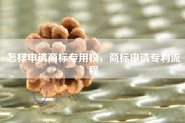 怎样申请商标专用权,商标申请专利流程 怎样申请商标专用权,商标申请专利流程