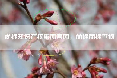 尚标知识产权集团官网,尚标商标查询 尚标知识产权集团官网,尚标商标查询