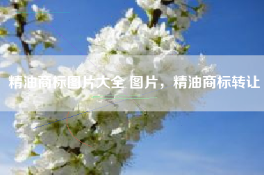 精油商标图片大全 图片,精油商标转让 精油商标图片大全 图片,精油商标转让