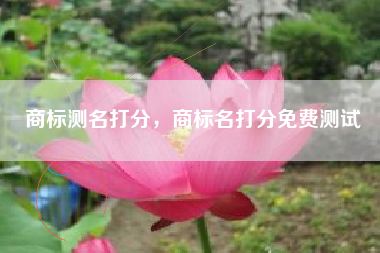 商标测名打分,商标名打分免费测试 商标测名打分,商标名打分免费测试