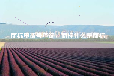 商标申请号查询,商标什么是商标 商标申请号查询,商标什么是商标