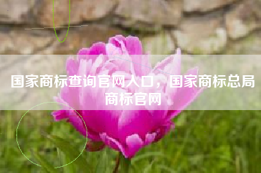 国家商标查询官网入口,国家商标总局商标官网 国家商标查询官网入口,国家商标总局商标官网