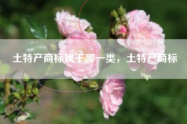 土特产商标属于哪一类,土特产商标 土特产商标属于哪一类,土特产商标