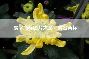 易字商标图片大全,易名商标 易字商标图片大全,易名商标