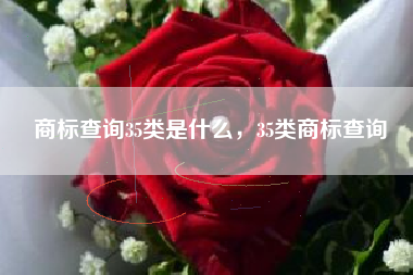 商标查询35类是什么,35类商标查询 商标查询35类是什么,35类商标查询