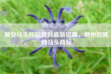 潮安马头标招聘网最新招聘,潮州招聘网马头商标 潮安马头标招聘网最新招聘,潮州招聘网马头商标