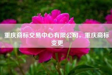 重庆商标交易中心有限公司,重庆商标变更 重庆商标交易中心有限公司,重庆商标变更