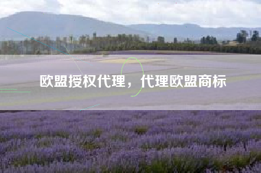 欧盟授权代理,代理欧盟商标 欧盟授权代理,代理欧盟商标