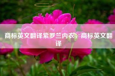 商标英文翻译紫罗兰内衣,商标英文翻译 商标英文翻译紫罗兰内衣,商标英文翻译