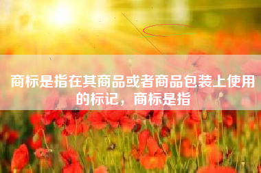 商标是指在其商品或者商品包装上使用的标记,商标是指 商标是指在其商品或者商品包装上使用的标记,商标是指