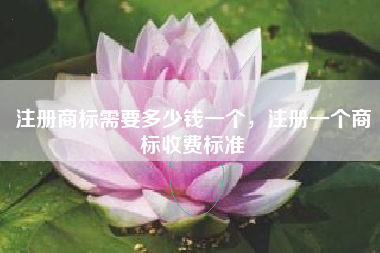 注册商标需要多少钱一个,注册一个商标收费标准 注册商标需要多少钱一个,注册一个商标收费标准
