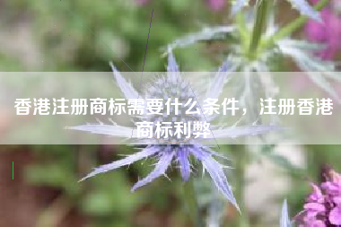 香港注册商标需要什么条件,注册香港商标利弊 香港注册商标需要什么条件,注册香港商标利弊