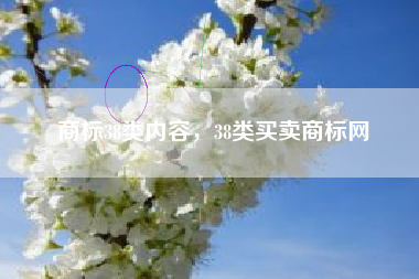 商标38类内容,38类买卖商标网 商标38类内容,38类买卖商标网
