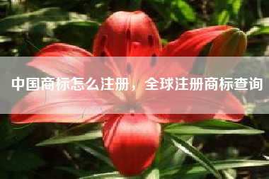 中国商标怎么注册,全球注册商标查询 中国商标怎么注册,全球注册商标查询