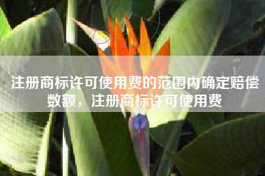 注册商标许可使用费的范围内确定赔偿数额,注册商标许可使用费 注册商标许可使用费的范围内确定赔偿数额,注册商标许可使用费