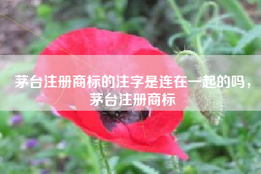 茅台注册商标的注字是连在一起的吗,茅台注册商标 茅台注册商标的注字是连在一起的吗,茅台注册商标