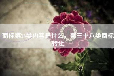 商标第36类内容是什么,第三十六类商标转让 商标第36类内容是什么,第三十六类商标转让